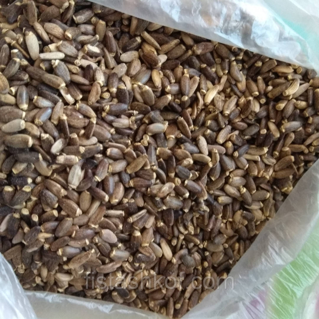 Розторопша насіння : продаж, ціна у Київській області. насіння і бульби ...