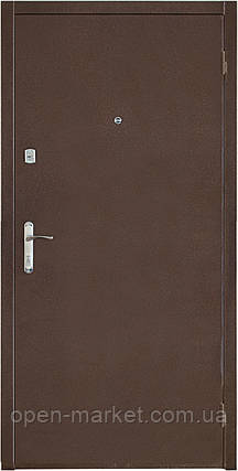 Двері вуличні Баштанка Ніколаївська зона, фото 1