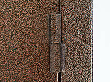 Двері вуличні Баштанка Ніколаївська зона, фото 3