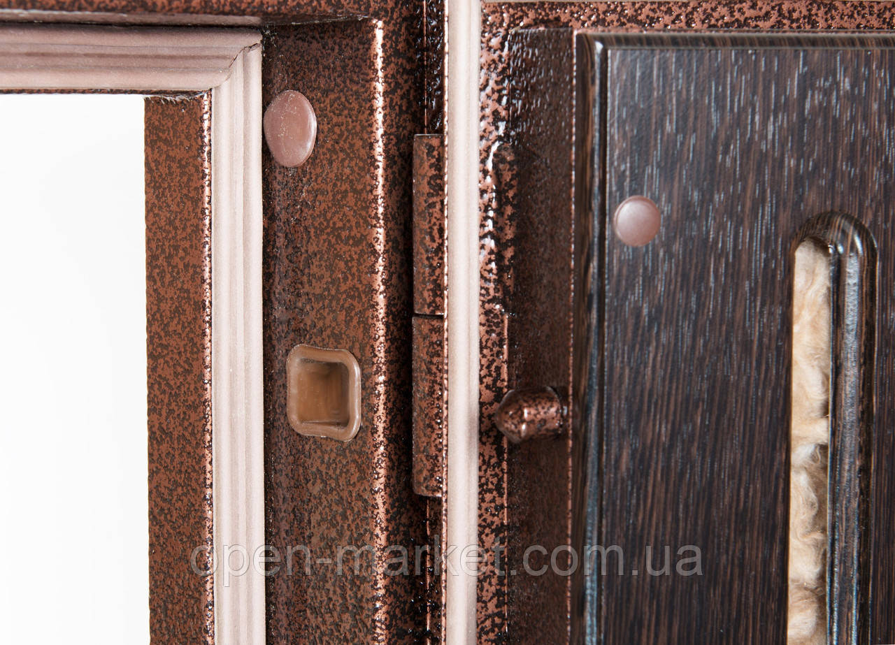 Двери уличные Лиманы Николаевская область - фото 4 - id-p83434071