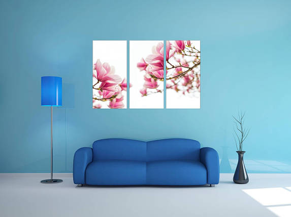 Модульна фотокартина рожеві магнолії VE, фото 1