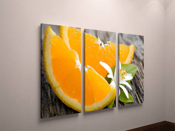 Фото картина модульна фотокартина на полотні для кухні фрукти апельсин цитрус полотно VE, фото 1