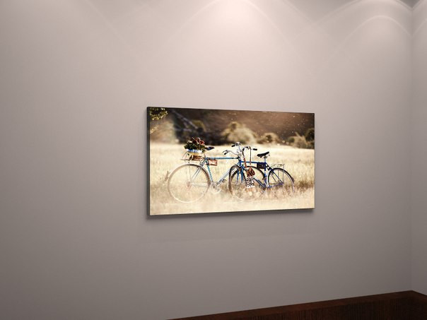 Фотокартина на полотні краєвид велосипед VE