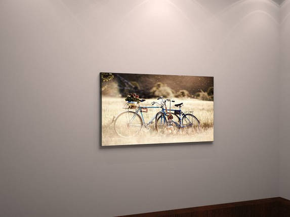 Фотокартина на полотні краєвид велосипед VE, фото 1