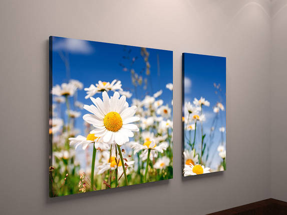 Модульна фотокартина ромашки полотно VE, фото 1