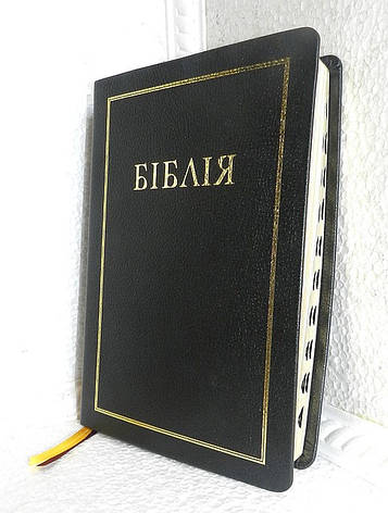 Біблія, 16,5х24,5 см, чорна/темно-вишнева з рамкою, фото 1