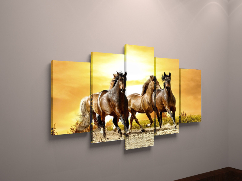 Модульна фото картина на полотні тварини Коні фотокартина постер коні полотно VE