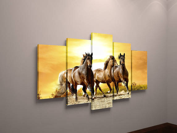Модульна фото картина на полотні тварини Коні фотокартина постер коні полотно VE, фото 1