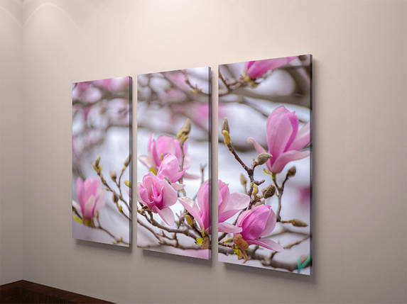 Фотокартина модульна фото магнолія квіти магнолії VE, фото 1