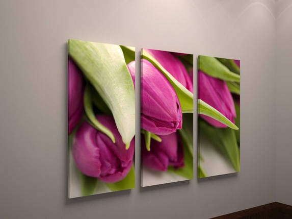 Фото картина модульна на полотні рожеві тюльпани VE, фото 1