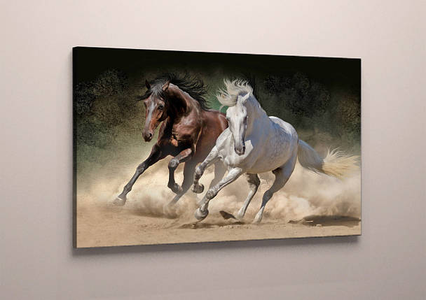 Фото картина модульна на полотні фотокартина тварини Коні полотно коні VE, фото 1