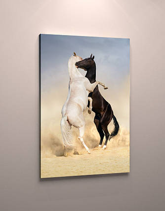 Фото картина на полотні тварини Коні пара фотокартина модульна коні полотно VE, фото 1