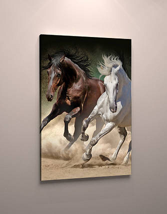 Фото картина модульна на полотні фотокартина тварини Коні полотно коні VE, фото 1