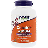 Целадрин и МСМ, Celadrin & MSM, Now Foods, 500 мг, 120 капсул