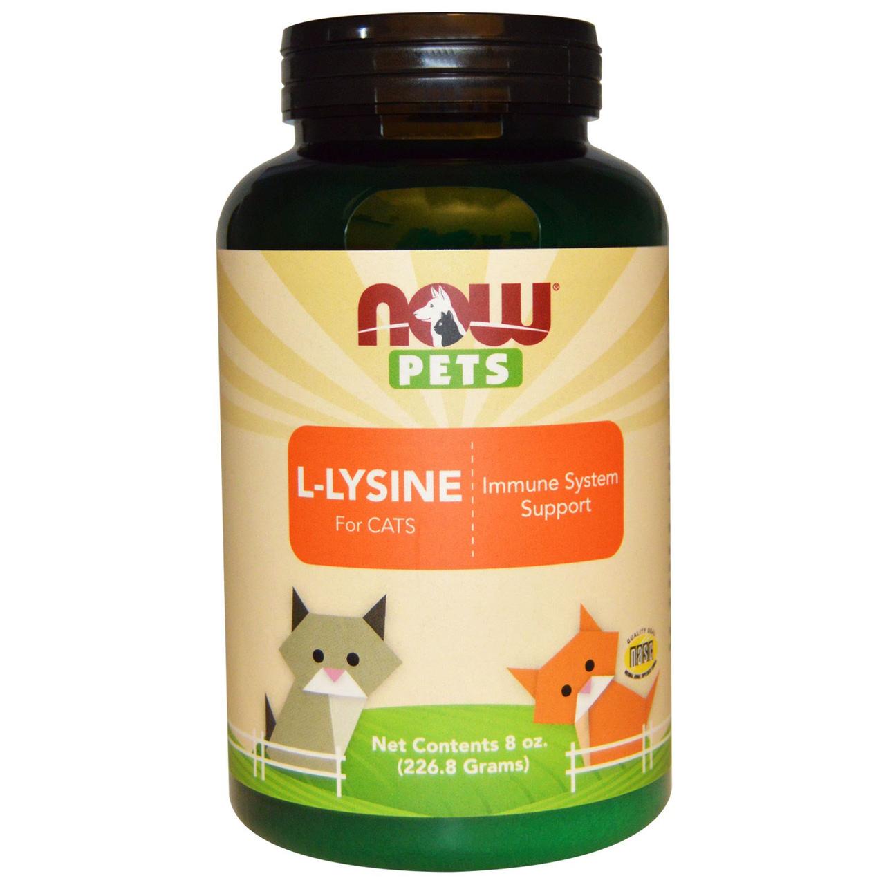 Лізин для кішок, L-Lysine, Now Foods, Now Pets, 226.8 р