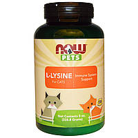 Лізин для кішок, L-Lysine, Now Foods, Now Pets, 226.8 р