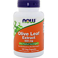 Листья оливы, Olive Leaf, Now Foods, экстракт, 500 мг, 120 кап.