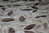 Акриловий рельєфний килим Bonita (Туреччина) гілки бежевий, фото 3