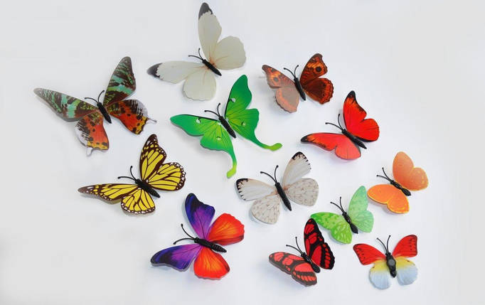 Об'ємні 3D метелики на стіну (шпалери) для декору (різнокольорові), фото 1