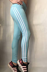 Жіночі спортивні лосини (легінси) норма No50 блакитний