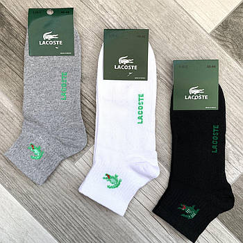 Шкарпетки чоловічі спортивні демісезонні х/б Lacoste, Туреччина, середні, асорті, 9801
