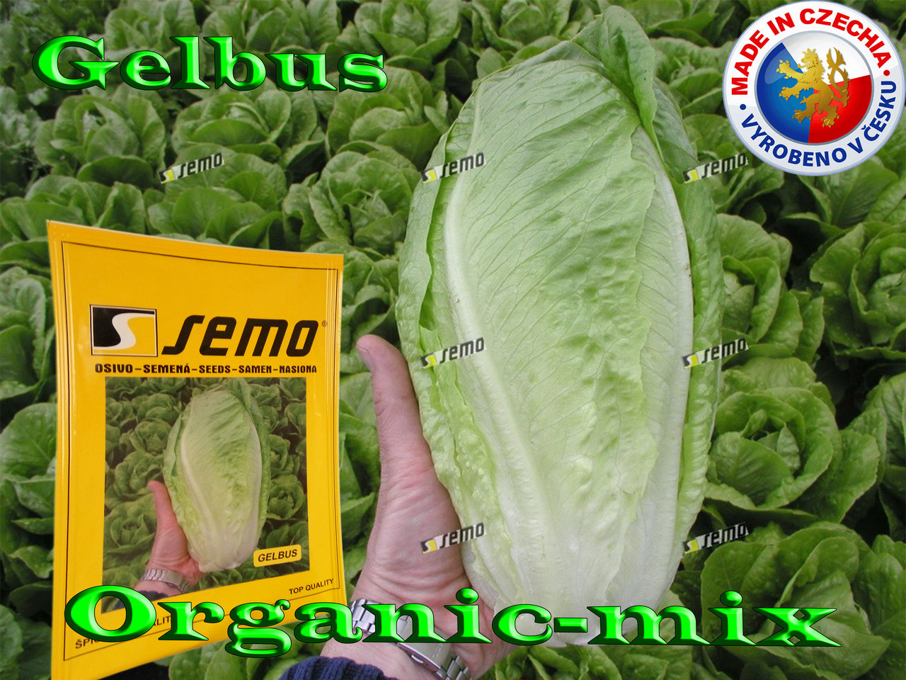 Салат ГЕЛБУС (GELBUS) ТМ SEMO (Чехія) проф. пакет 5 грамів