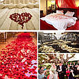 М'які сердечка для декору, весільне конфетті з сердечок, романтична атмосфера 100 шт. DIY 3,5 см GS807, фото 3