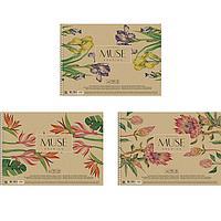 Альбом для малювання А4 Muse Drawing 30 аркушів 150 г/м2 на пружині PB-SC-030-300