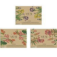 Альбом для малювання А4 Muse Drawing 30 аркушів 150 г/м2 на пружині PB-SC-030-300