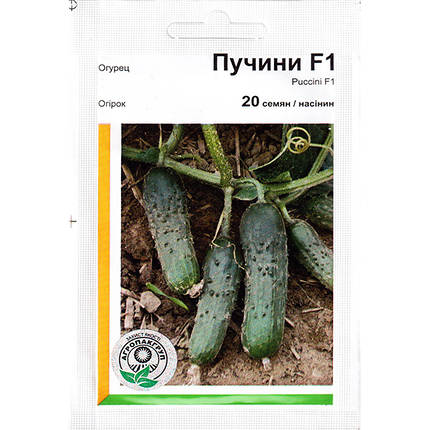 Насіння огірка самозапильного "Пучіні" F1 (20 насінин) від Rijk Zwaan, Голландія, фото 1
