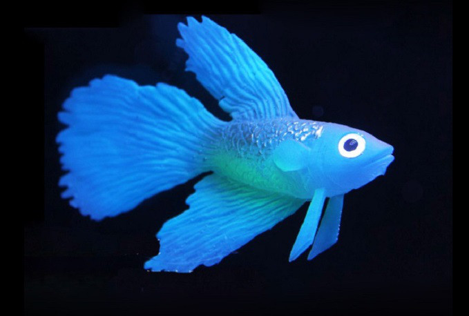 Декор для акваріума Бойова Рибка Devil Rays синя