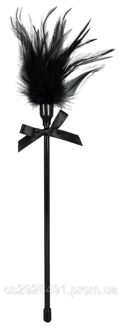 Пір'їнка - 2491524 Feather Black
