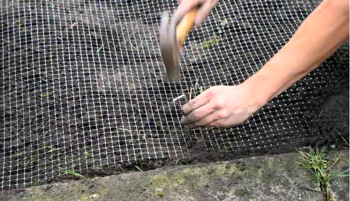 Сетка от кротов 1x50м. Вольерная. Размер ячейки 12х14мм.: продажа, цена ...