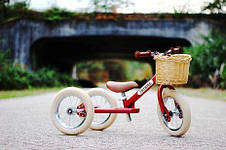 Кошик для біговела Trybike, фото 3