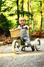 Кошик для біговела Trybike, фото 5