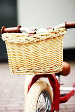 Кошик для біговела Trybike, фото 4