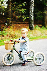 Кошик для біговела Trybike, фото 6