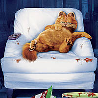 Garfield / Кіт Гарфілд