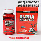 Alpha Male Plus (Альфа Самець) Препарат для потенції, 60 капсул, фото 3