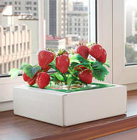 Чудо-ягодница «Домашняя грядка» для выращивания клубники в домашних условиях