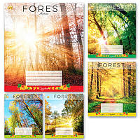 Зошит 24 аркуші в лінійку "Лес" 20/320