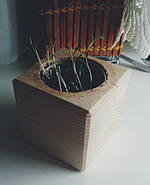 Набір для вирощування ЕкоКуб "Мелісу", фото 3