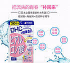 DHC Гіалуронова кислота 150 мг + сквален 170 мг, 40 таб на  20 днів, фото 2