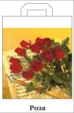 Пакет з петлевий ручкою (42*50+5) "Троянди" ХВГ (25 шт)