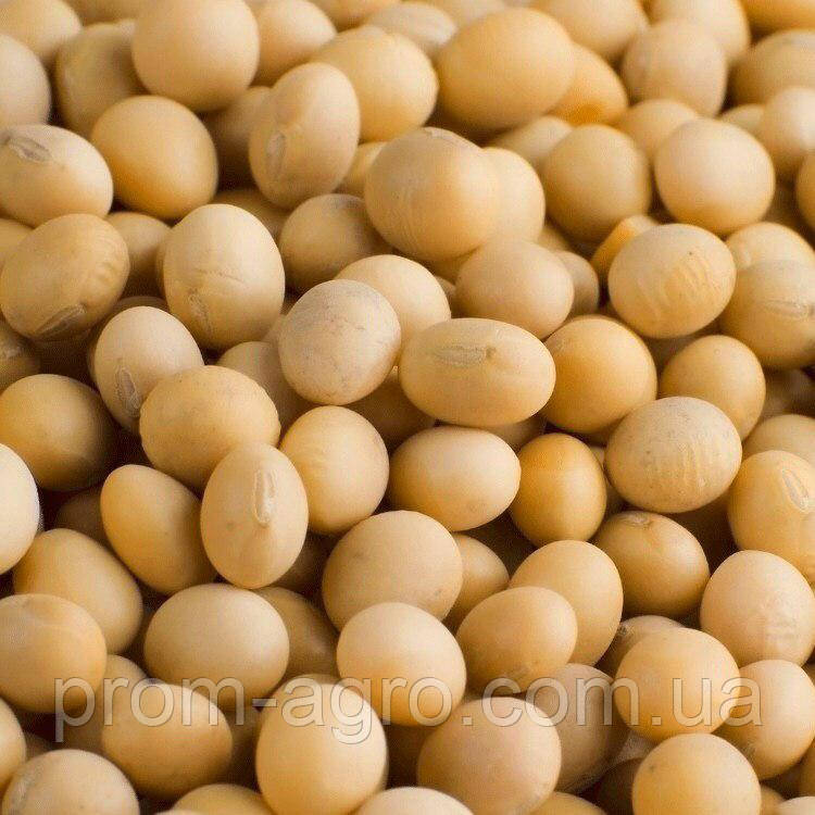 Соя Адесса насіння Єліта 2025 ультра рання