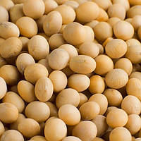 Соя Амадеа насіння Єліта 2025 ультра рання