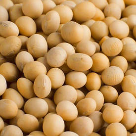 Соя VS 00 насіння Єліта 2025 ультра рання