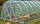 Плівка теплічна зелена поліетиленова 10 м. х 50 м. 120 мкм. 6 сезонов "ВАШ САД", фото 4