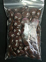 Куглые пластмассовые пуговицы на полуножке №20/13мм (100 шт, цвет шоколадный)