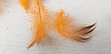 Пір'я декоративне кольорове, 150 шт/уп.,, фото 6